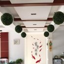 별동자리 이미지