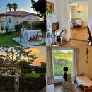 포레스트 13월 이미지