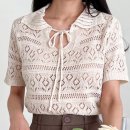 베이직핏 이미지