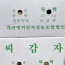 경안종묘농약사 이미지