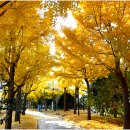 문태고등학교 이미지