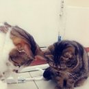 버드내초등학교 이미지