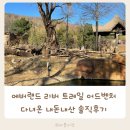 에버랜드 리버트레일어드벤처 다녀온 내돈내산 솔직후기
