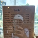 샤브작 - 동두천시 | 대전 둔산동 맛집 ｜ 혼밥 하기 좋은 '샤브작(酌)' 솔직후기