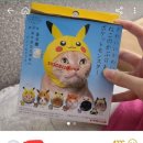 고양이 모자 이미지