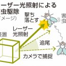 레이저 빛으로 해충 구제, 오사카대학 등 기술 개발. 농약 저감에 기대. 이미지