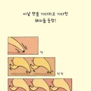 별별케이크 Daum카페