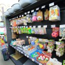 계룡산콘도텔 | 공주시 공주 당일치기 애견동반 숙소 TOP 10 실패 없는