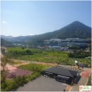 365열린약국 | 양산트리마제 2단지 34평 급매