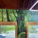 한삶갤러리카페 이미지