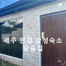 독채민박 | [★펜션 후기] 제주 한경 민박 독채 숨숨집 고냉이 숙박후기