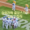 삼성라이온즈파크 중앙스카이 상단지정석 U-14구역 15열 직관후기