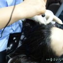 참사랑송광한의원 이미지