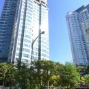 대덕초교도룡분교장 이미지