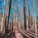 은행공원 내 이미지