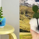 캄웨이브(CALMWAVE) 이미지