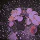 (주)건원 | 스물네번째 블로그