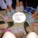 쵸코파이민박 Daum카페