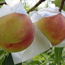 용택농장 이미지