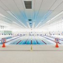 아레나 수영장 이미지