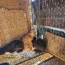 군위축협 동물병원 이미지