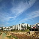 대천천2 이미지