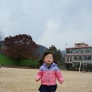 광일중학교 Daum카페