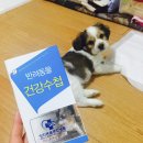 양지종합동물병원