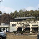 피터팻츠 - 고양시 덕양구 주교동 | 피터팻츠