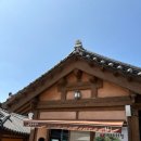 소설따라 세계여행 | 엄마와 꽃들과 함께 한 초봄 남쪽여행 _하동(河東) 최참판댁