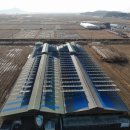 거북발전소 이미지