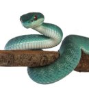 센텀부동산중개 이미지