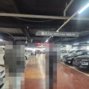 53카정비 | 20년 장롱면허 탈출기 중고차 경차 시세 가격 구매 절차 후기 서서울모터리움