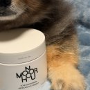 (주) 모노프리 | 강아지 있는 집에서도 사용가능한 방향제 추천 모노아워(MONOHOUR) 에어블룸 펫프렌들리 탈취제