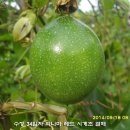 수정-128 이미지