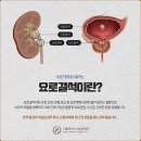 서울리더스비뇨의학과의원 이미지