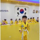 용인대 청명 태권도 이미지