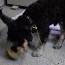 구월3동-10 이미지