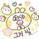 버블버블 이미지