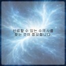 토브 동물병원 | 반려동물의 건강을 책임지는 동물병원 선택 가이드