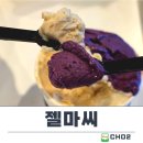 젤마씨