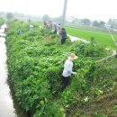 하천(금강) 이미지