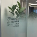 더봄의원 | 청주원형탈모 더봄의원 리얼 후기