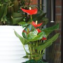 빅스타당구클럽 이미지