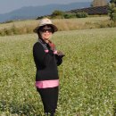 정모농장 이미지