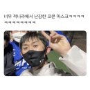 코쿤