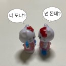 발리PC | ⋆𓂃 ⊹ 📸 2024, 나만의 온도와 색으로 기록한 날들 ⋆ ˚⭒🌙 ˖