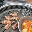 희소식소갈비살