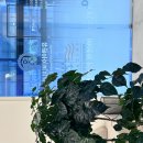 와이케이콜럼비아치과의원 | 위생철저한 신반포역치과, 고난이도 임플란트 전문 유펜아이비치에서 진료받아보세요