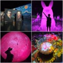 제주도 실내관광지 추천 PINK MOON FESTA 아르떼뮤지엄 제주